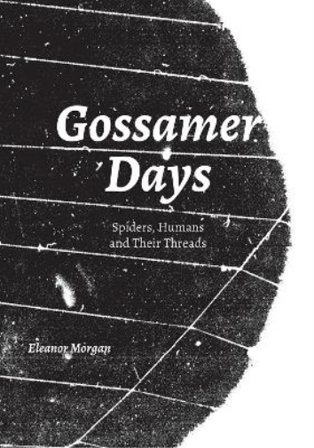 Eleanor Morgan Gossamer Days (Tascabile)