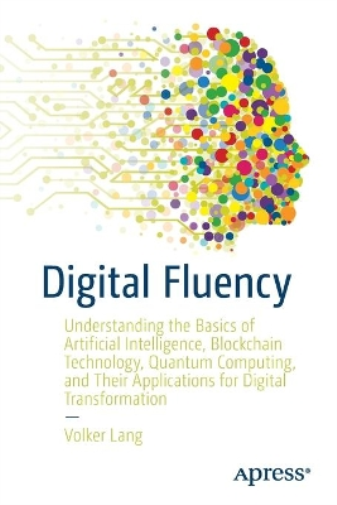Volker Lang Digital Fluency (Tascabile)