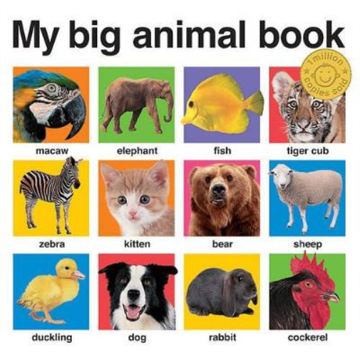 Roger Priddy My Big Animal Book (Libro di cartone) My Big Board Books