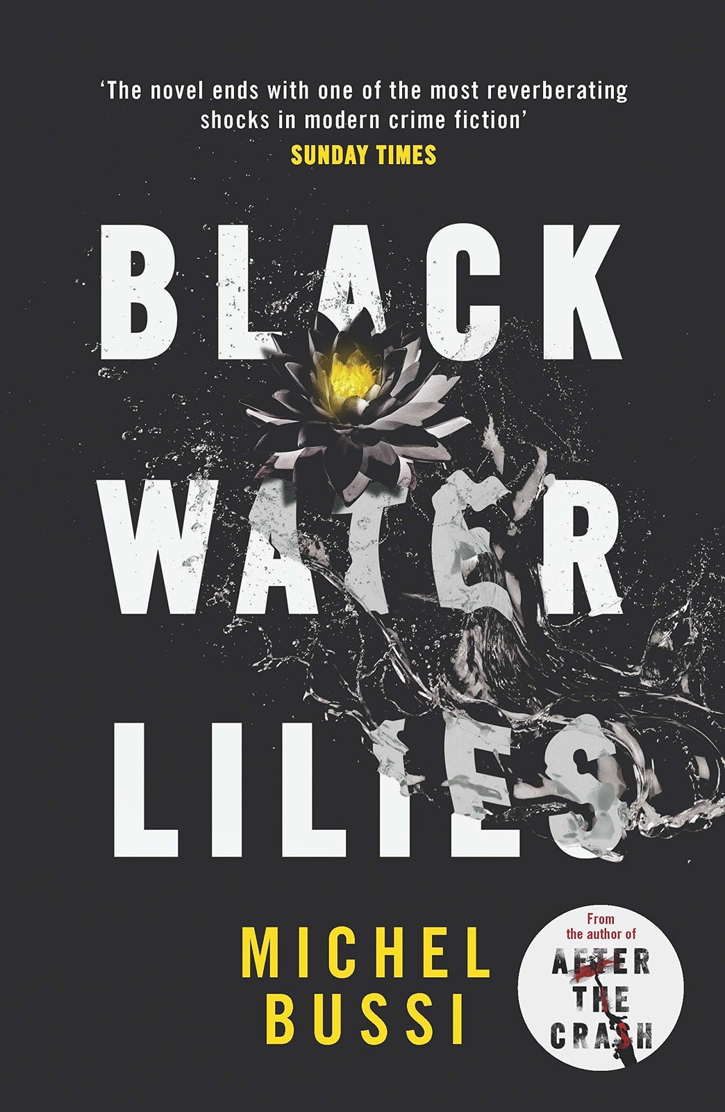 Michel Bussi Black Water Lilies (Tascabile)