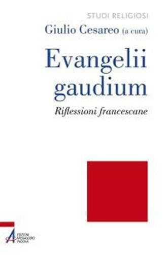 Evangelii gaudium. Riflessioni francescane - Cesareo Giulio