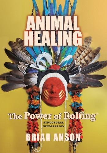 Briah Anson Animal Healing (Tascabile)