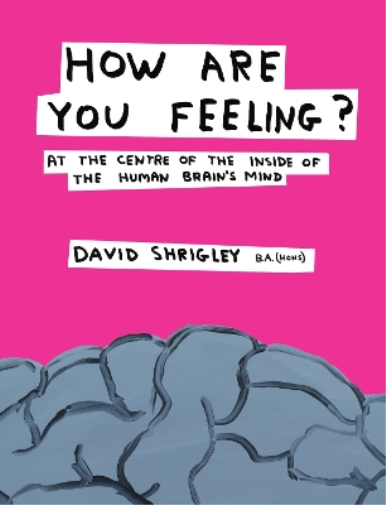 David Shrigley How Are You Feeling? (Copertina rigida)