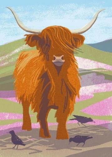 Nature Notebook: Highland Cow Book NUOVO