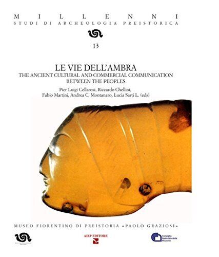 9788860861269 Le vie dell'ambra. The ancient cultural and commer...e. Con CD-ROM
