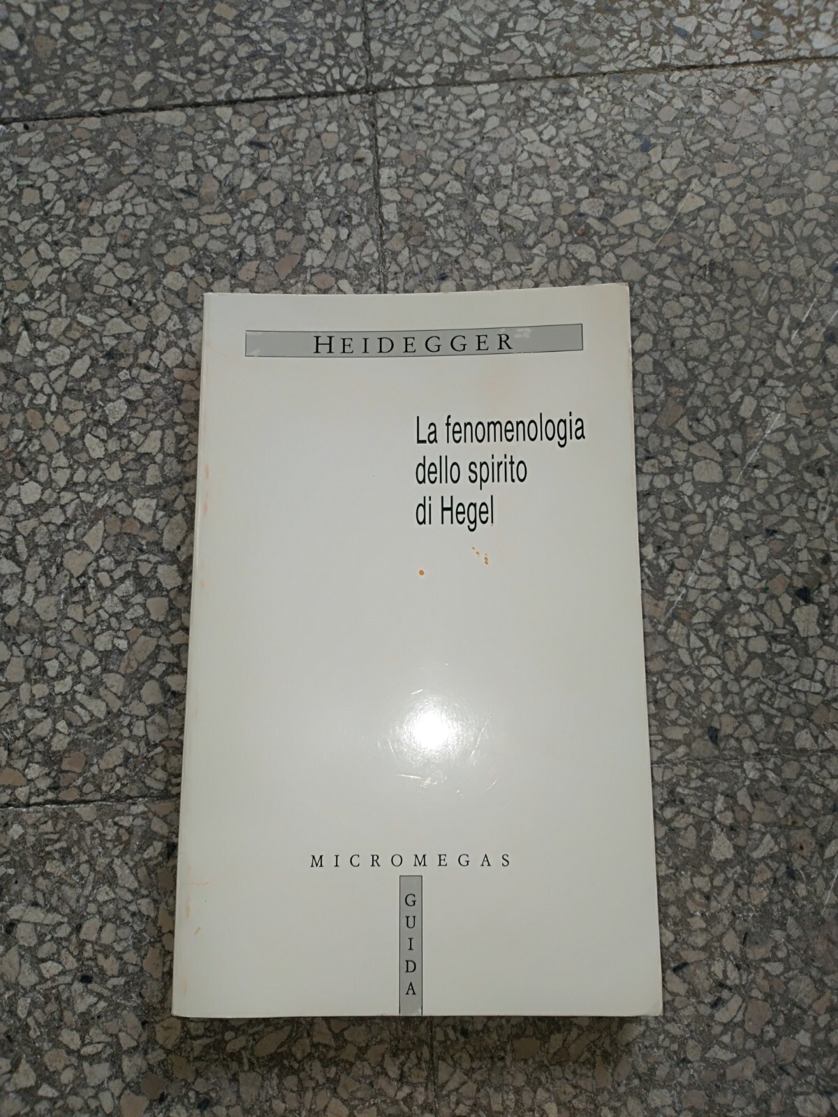 HEIDEGGER LA FENOMENOLOGIA DELLO SPIRITO DI HEGEL - MICROMEGAS - NUOVO