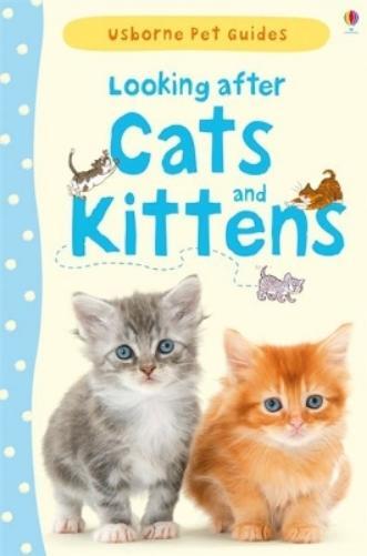 Katherine Starke Looking after Cats and Kittens (Copertina rigida) Pet Guides