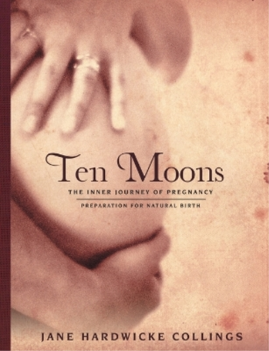 Jane Hardwicke Collings Ten Moons (Tascabile)