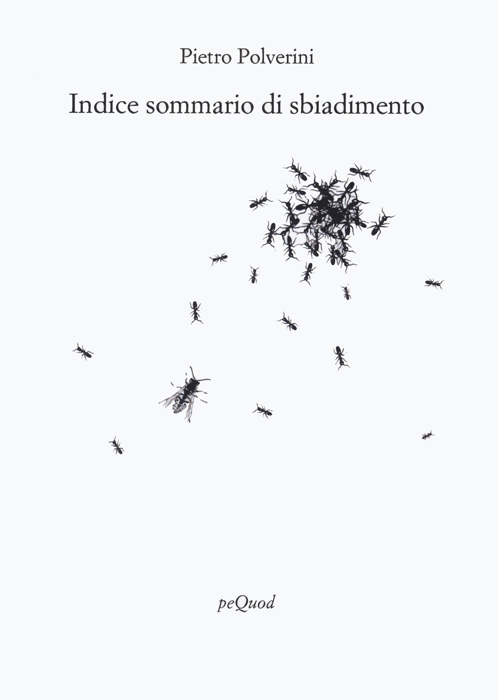 Libri Polverini Pietro - Indice Sommario Di Sbiadimento