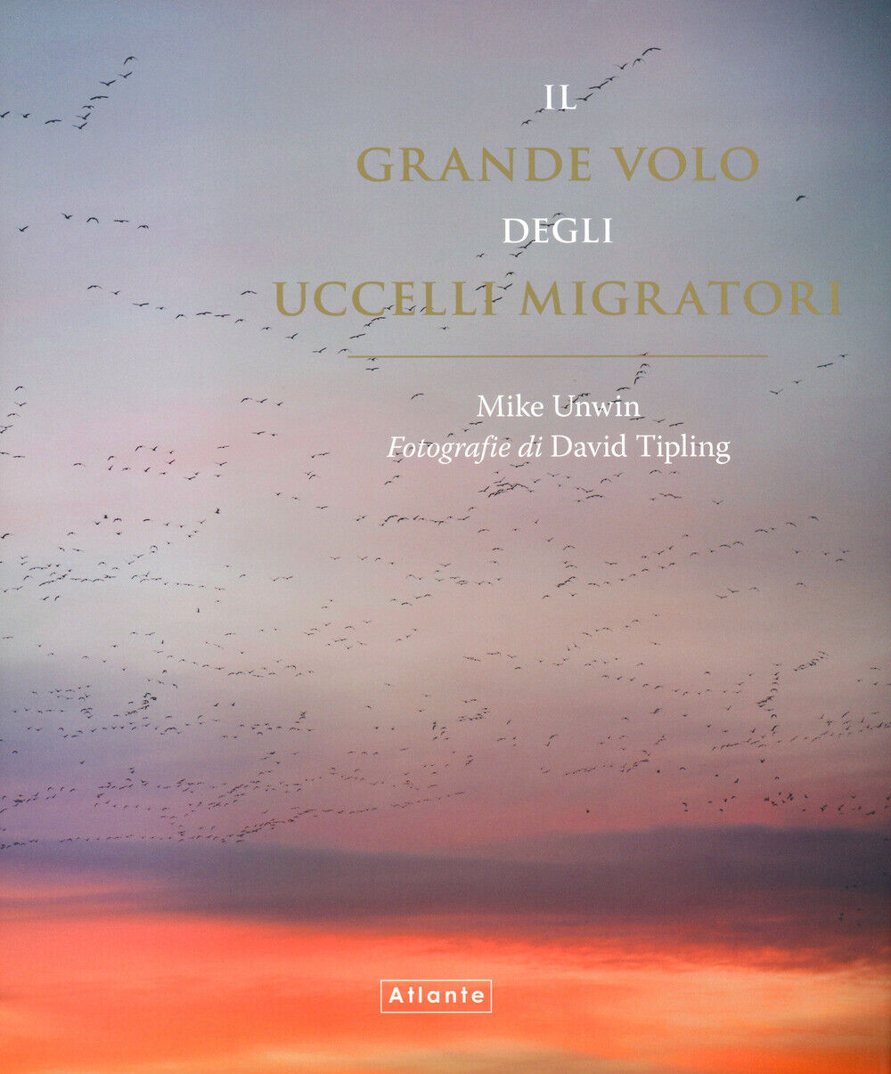 Il grande volo degli uccelli migratori - Unwin Mike