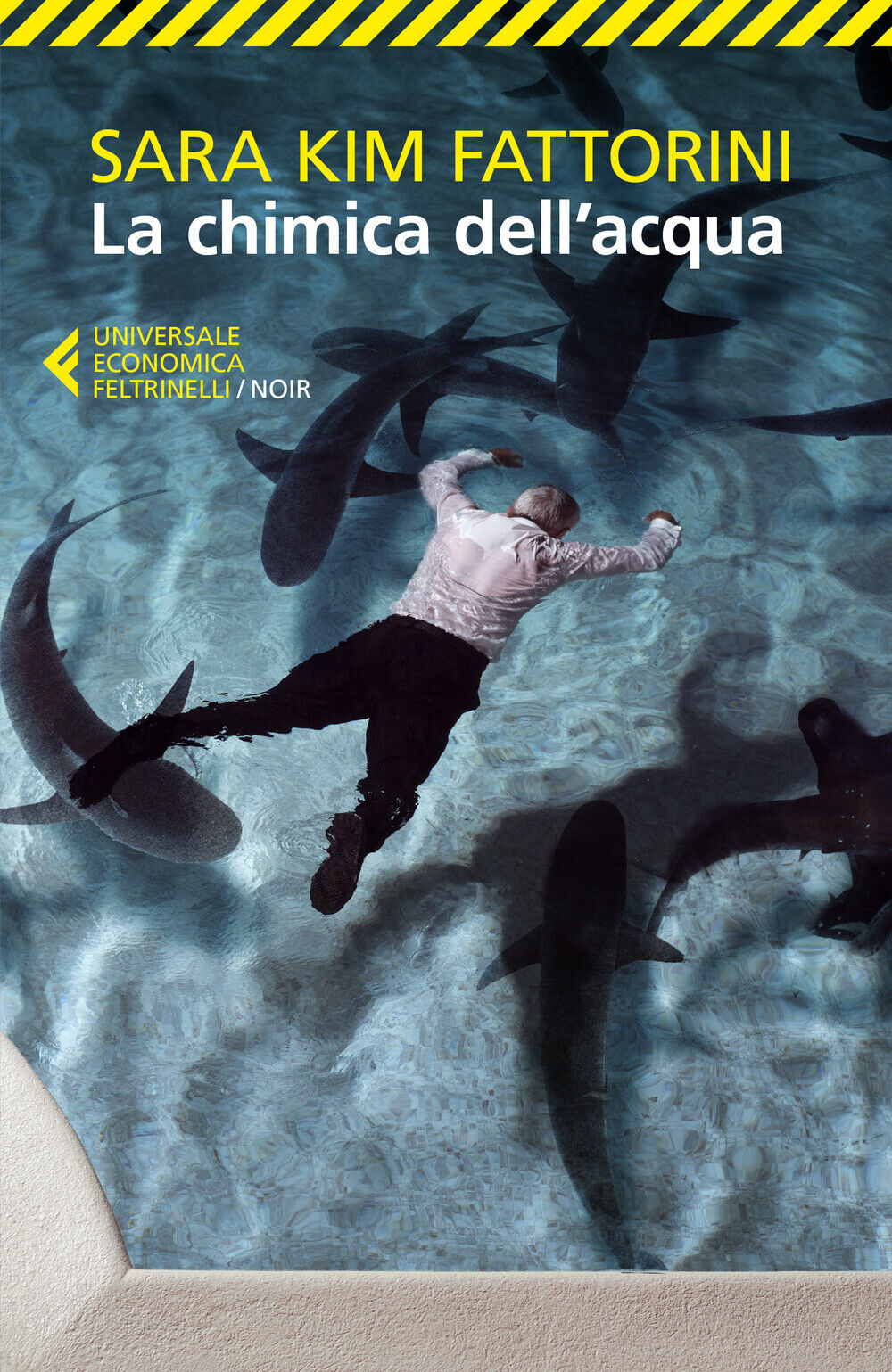 La chimica dell'acqua - Fattorini Sara Kim