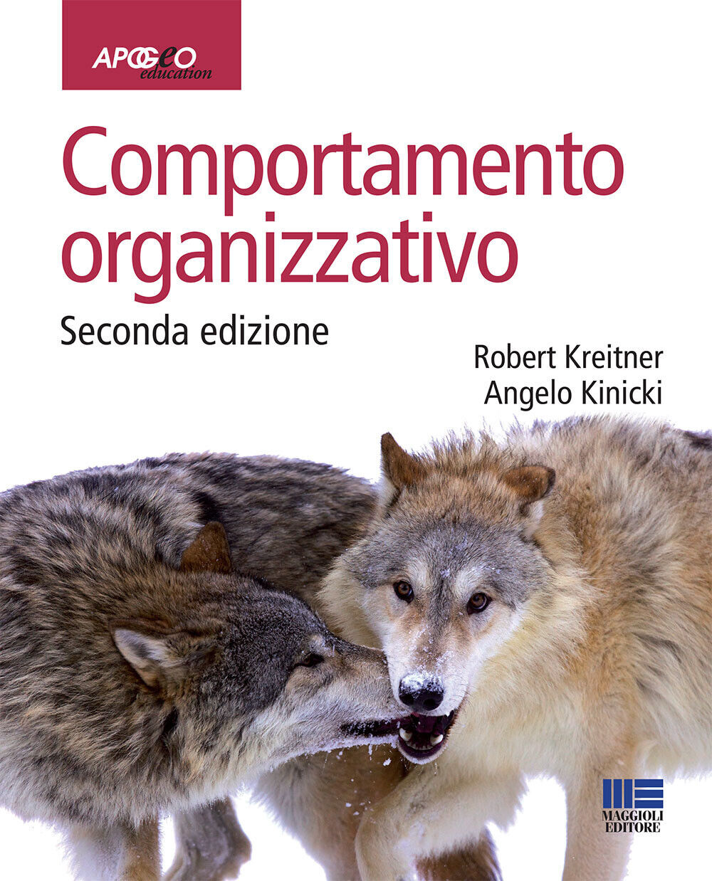 Comportamento organizzativo - Kreitner Robert, Kinicki Angelo
