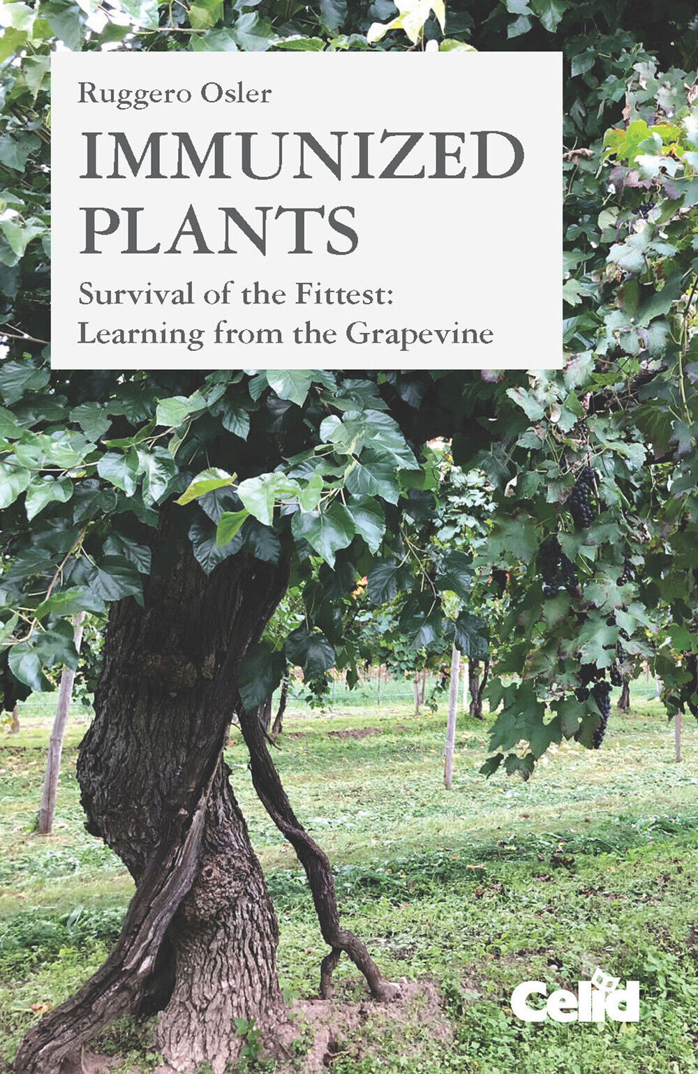 Immunized plants. Survival of the fittest: learning from the grapevine - O...
