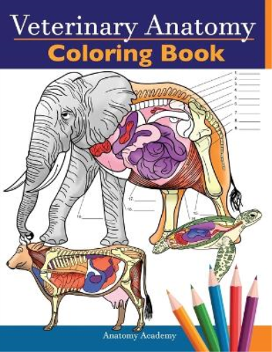 Anatomy Academy Veterinary Anatomy Coloring Book (Tascabile)