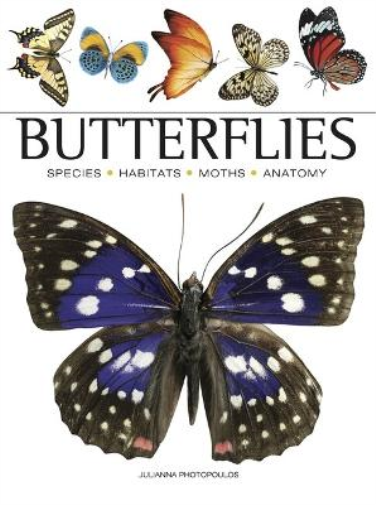 Julianna Photopoulos Butterflies (Tascabile) Mini Animals