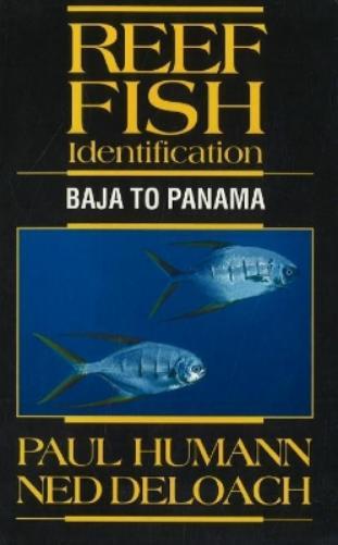 Paul Humann Ned Deloach Reef Fish Identification (Tascabile)
