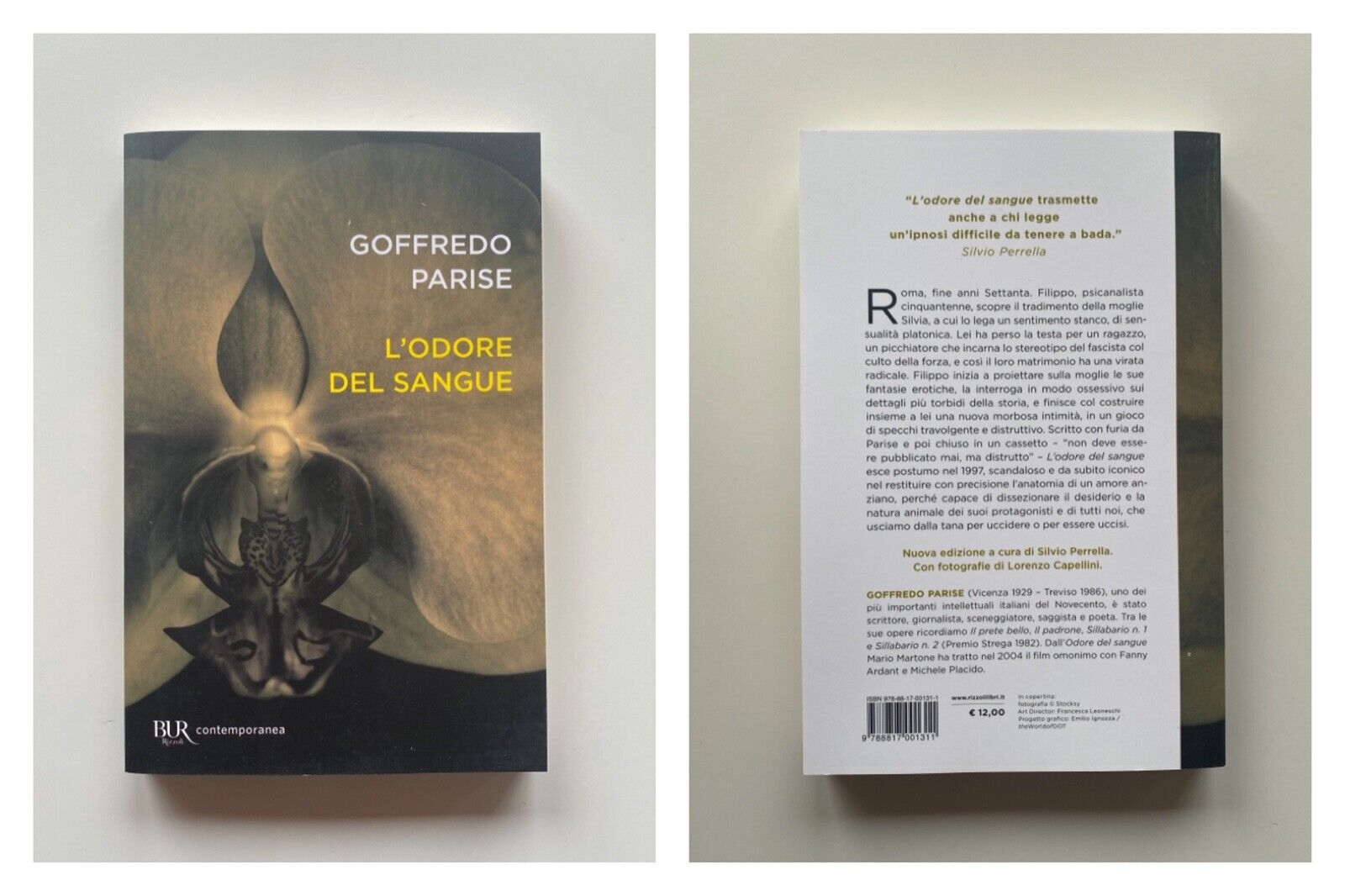 GOFFREDO PARISE L' ODORE DEL SANGUE