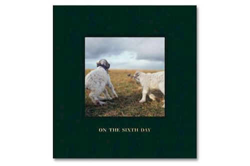ON THE SIXTH DAY  - SANGUINETTI ALESSANDRA