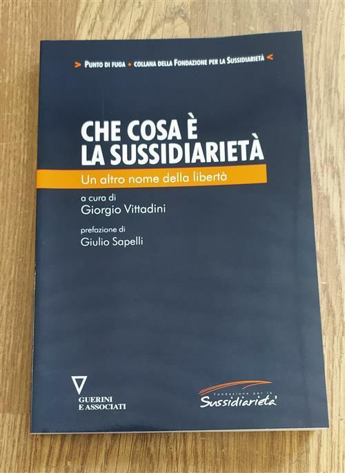 Che Cos'e La Sussidiarieta. Un Altro Nome Della Liberta Giorgio Vittadini Guer