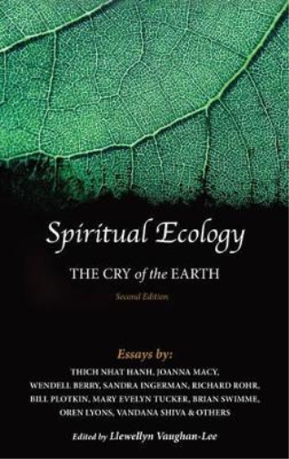 Llewellyn Vaughan-Lee Spiritual Ecology (Tascabile)