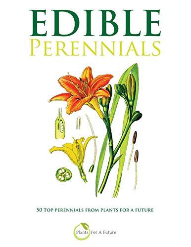 Plants for a Future Edible Perennials (Tascabile)