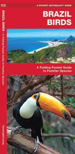 James Kavanagh Waterford Press Brazil Birds (opuscolo)