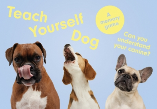 Gerrard Gethings Louise Glazebrook Teach Yourself Dog (Cards)