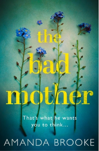 Amanda Brooke The Bad Mother (Tascabile)