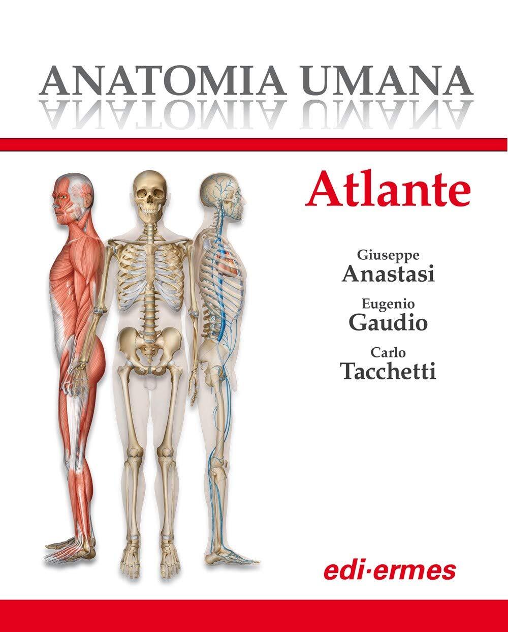 9788870514582 Anatomia umana. Atlante - Giuseppe Anastasi,Eugenio Gaudio,Carlo T
