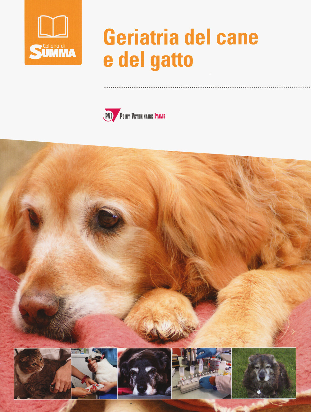 Geriatria del cane e del gatto - AA.VV.