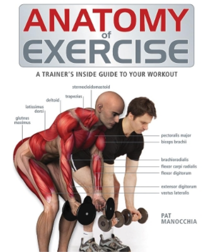 Pat Manocchia Anatomy of Exercise (Tascabile) Anatomy of