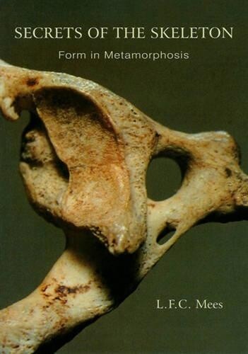 L. F. C. Mees Secrets of the Skeleton (Tascabile)