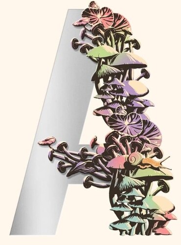 Vandermeer Ambergris (Copertina rigida)