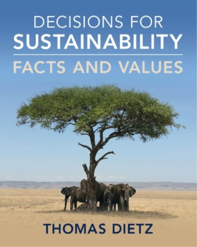Thomas Dietz Decisions for Sustainability (Tascabile)