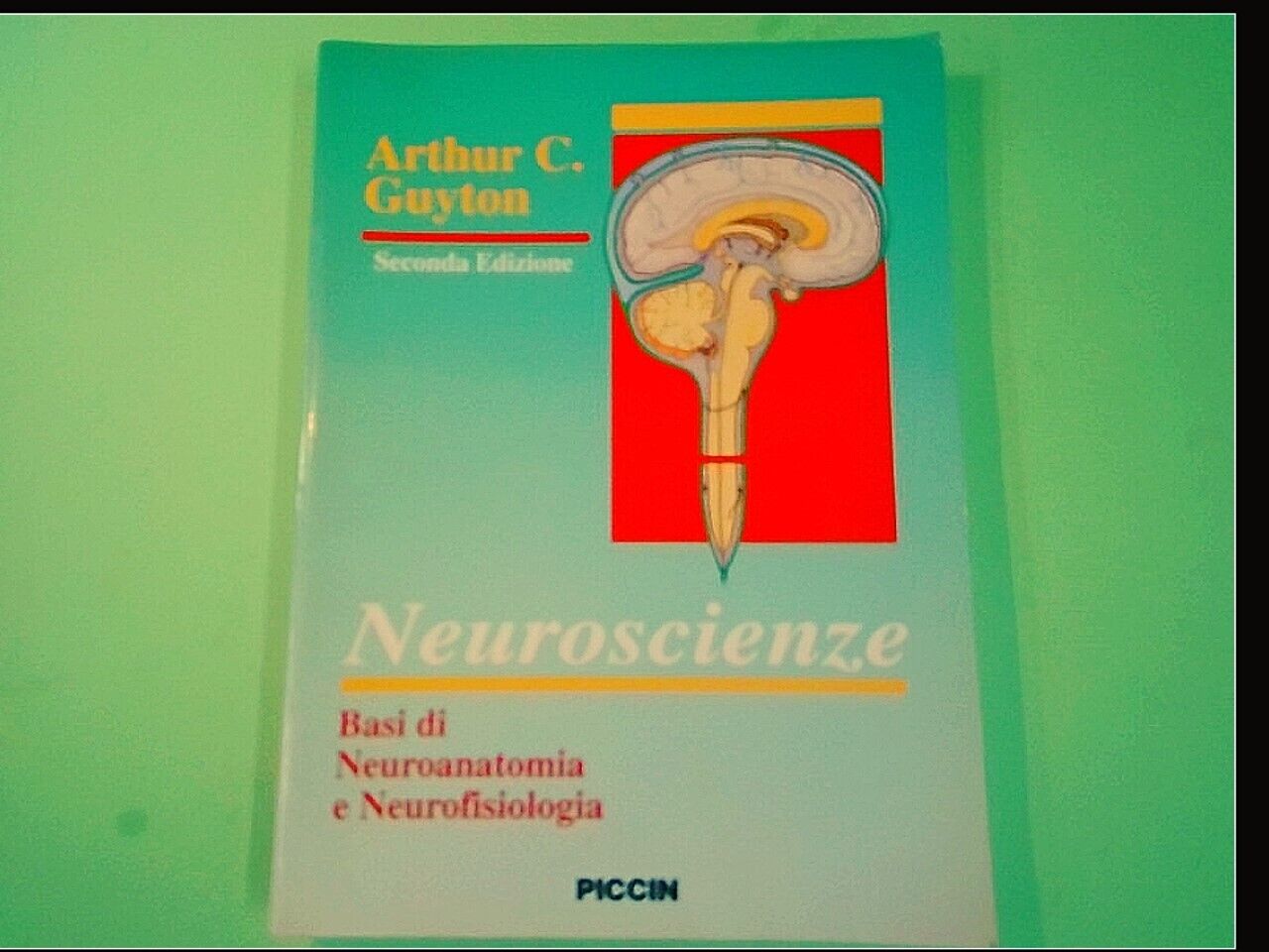NEUROSCIENZE BASI DI NEUROANATOMIA E NEUROFISIOLOGIA GUYTON PICCIN EDITORE