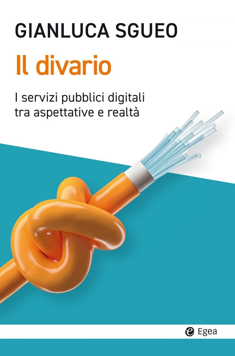 9788823838512 Il divario. I servizi pubblici digitali tra aspettative e realtà
