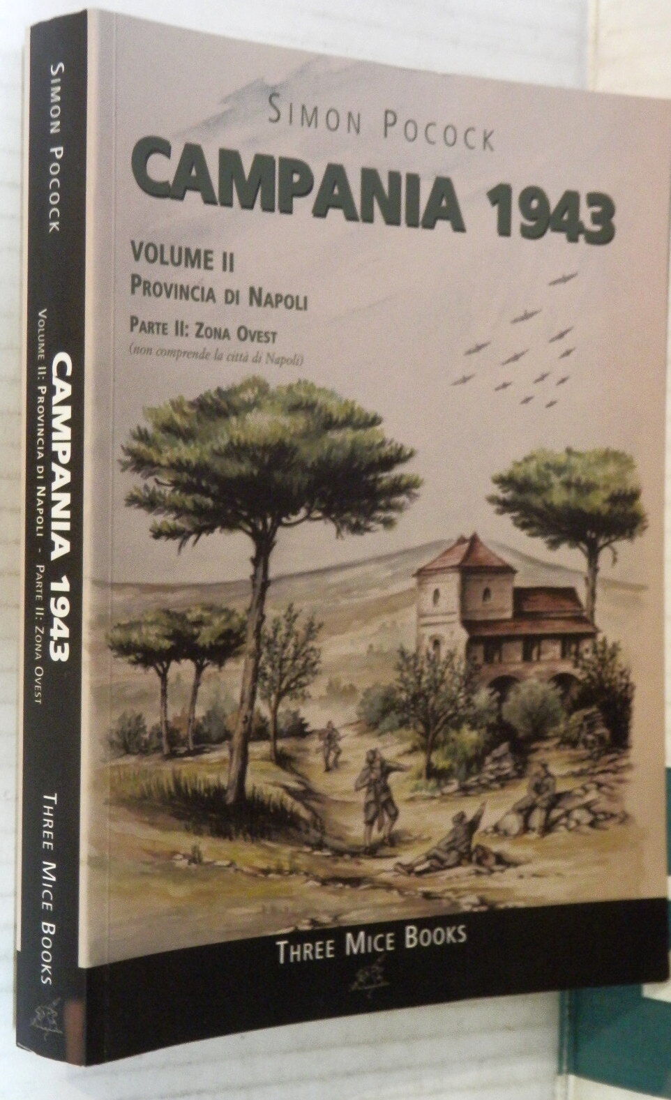 CAMPANIA 1943 Vol II Provincia di Napoli Parte Seconda Zona Ovest Simon Pocock