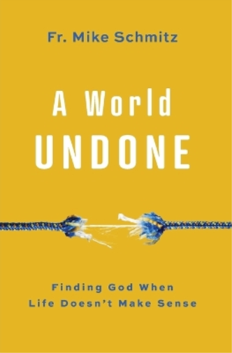 Fr Mike Schmitz A World Undone (Tascabile)