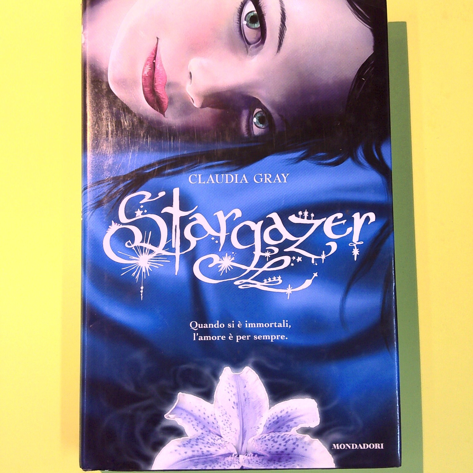 STARGAZER GRAY MONDADORI