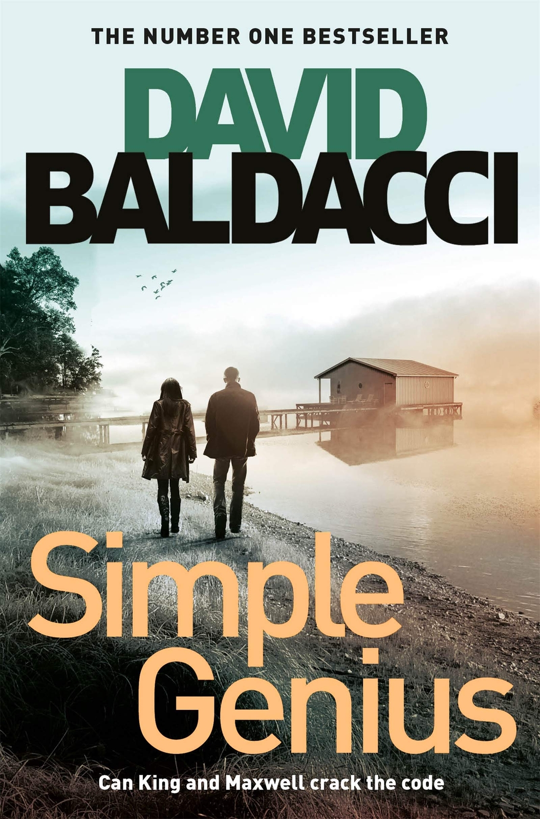 9781529019179 Simple Genius - David Baldacci