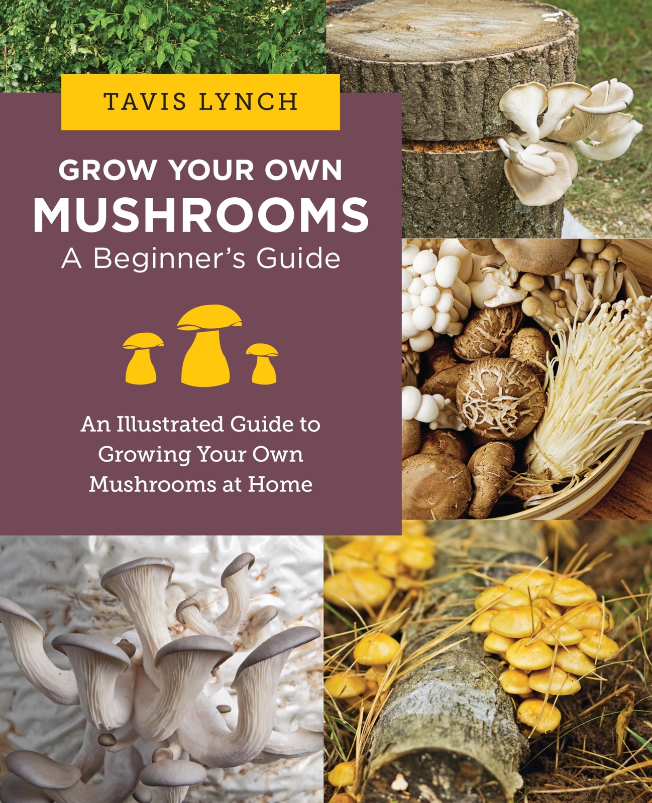 Lynch Tavis Grow Your Own Mushrooms A Begi Book NUOVO