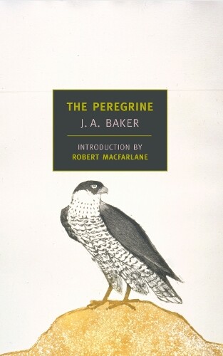 J. A. Baker The Peregrine (Tascabile)