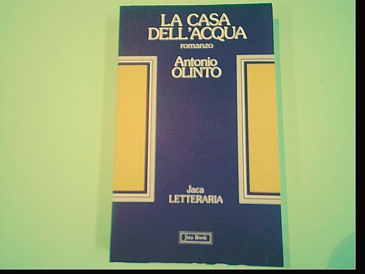 LA CASA DELL'ACQUA ANTONIO OLINTO JACA BOOK