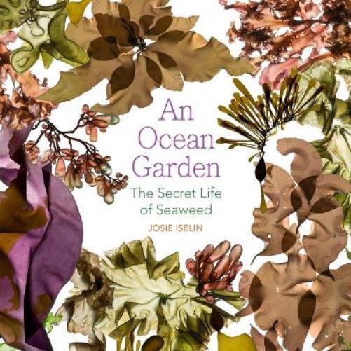 Josie Iselin An Ocean Garden (Tascabile)