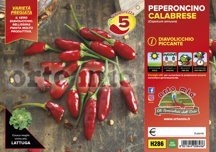 ORTO MIO 5 Peperoncino Diavolicchio Calabrese