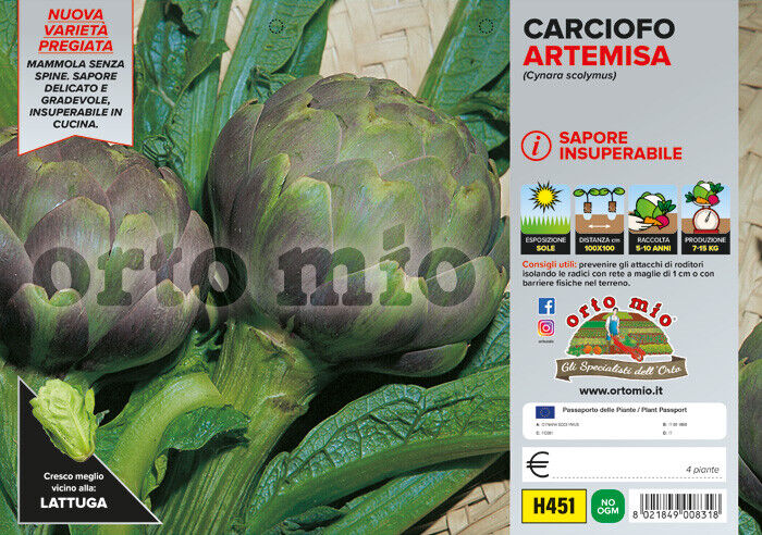 ORTO MIO Carciofo Romanesco rifiorente var. Artemisa F1