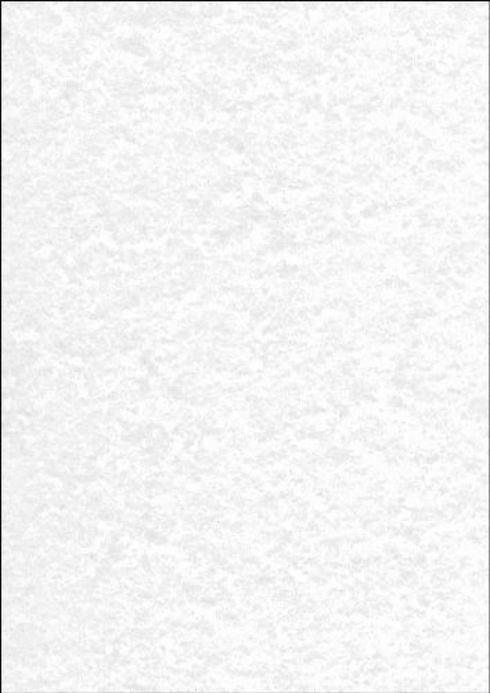 (TG. 100 fogli) SIGEL DP607 Carta da Lettere/Carta strutturata, pergamena grigio