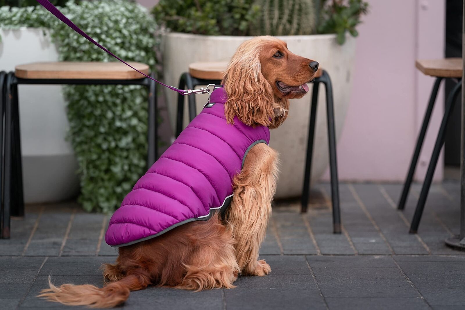 Dog Coat Red Dingo Puffer Pink/Purple 25 Cm NUOVO