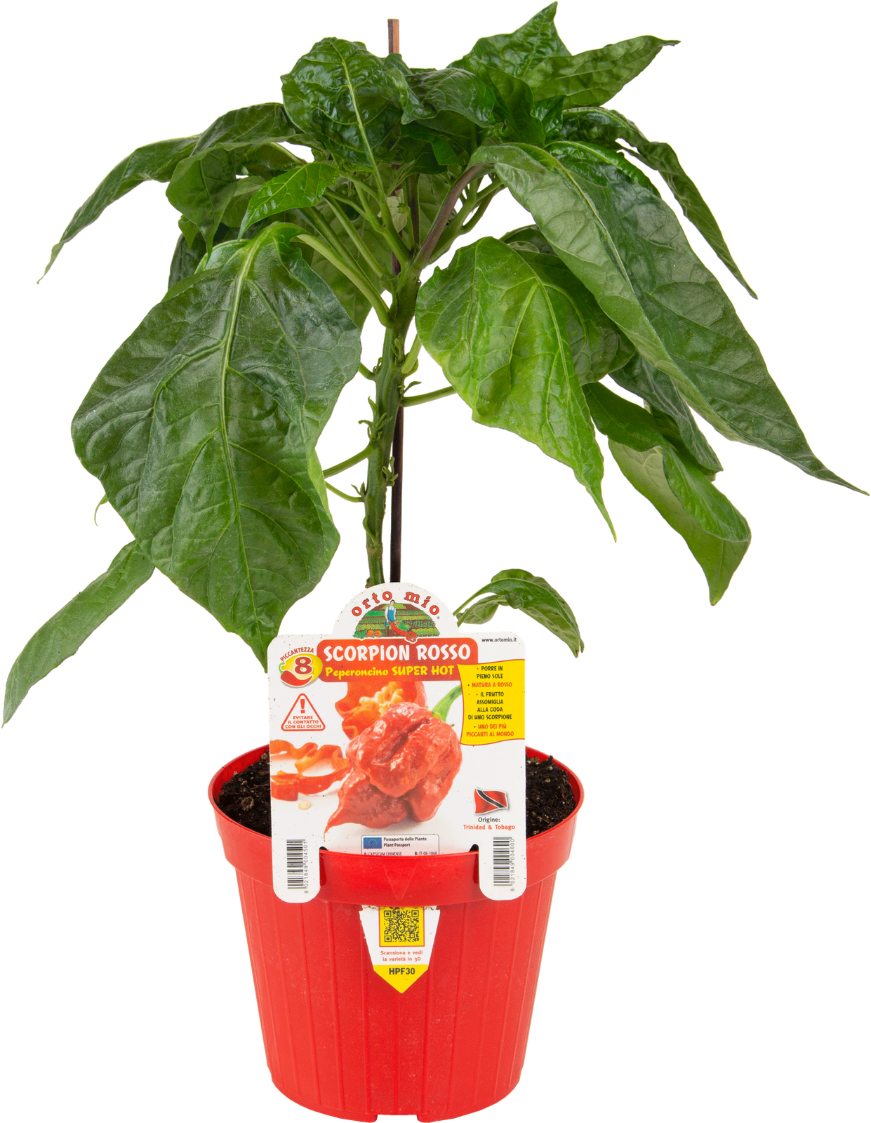 ORTO MIO 8 Peperoncino Scorpion Rosso