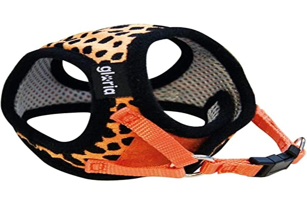 Dog Harness Gloria Leopard 17-22 Cm Orange Xs Size NUOVO